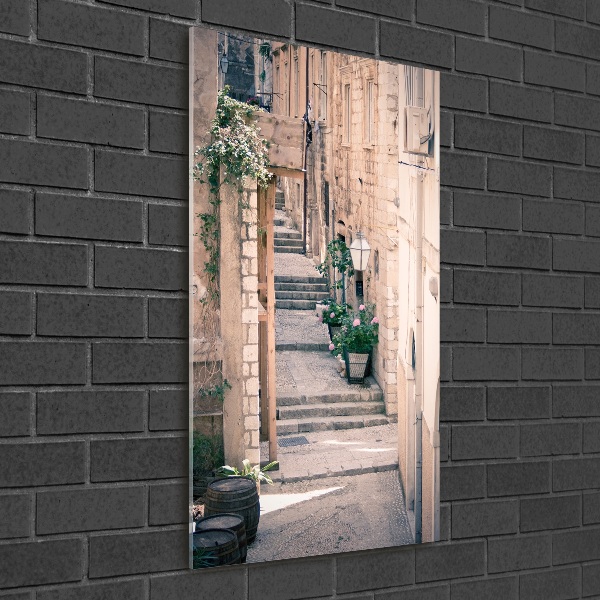 Acrylic glass print Dubrovnik