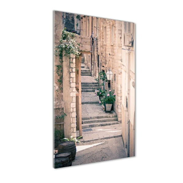 Acrylic glass print Dubrovnik