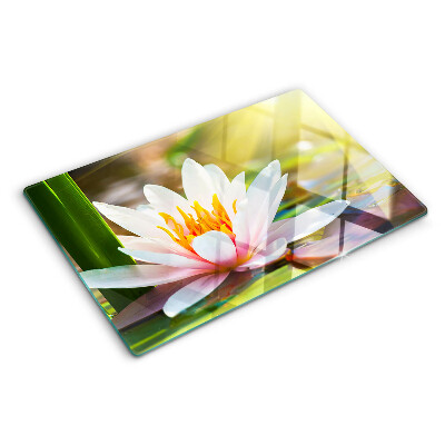 Glass kitchen board Water lily in the sunlight