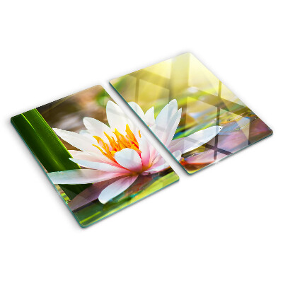 Glass kitchen board Water lily in the sunlight