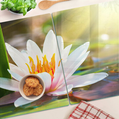 Glass kitchen board Water lily in the sunlight