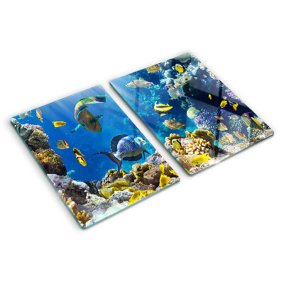Chopping board glass The underwater world of the coral reef