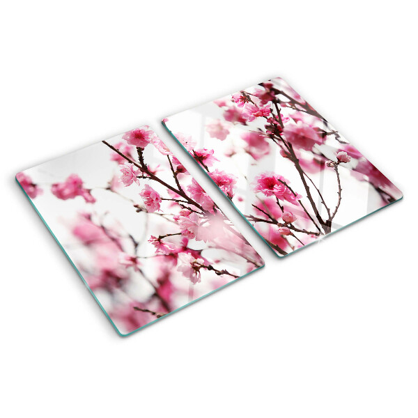 Chopping board Cherry blossoms in bloom