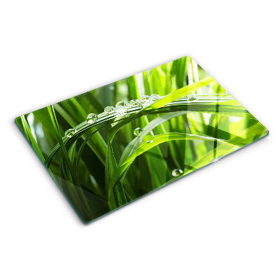 Glass kitchen board Drops of water on the grass