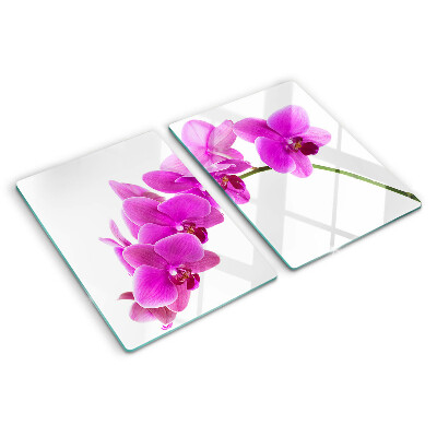 Glass kitchen board Orchid flowers in shades of pink