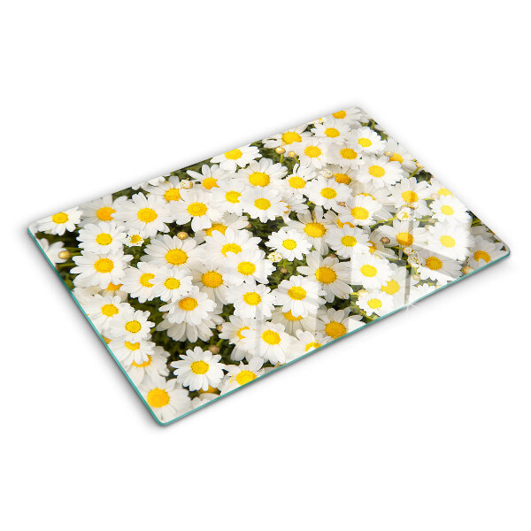 Glass cutting board Daisies on a white background