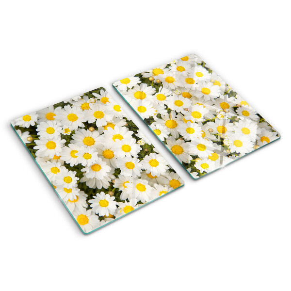 Glass cutting board Daisies on a white background