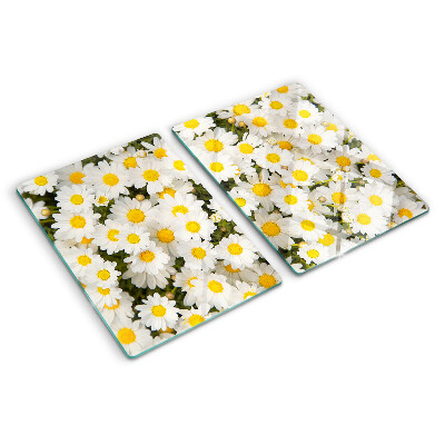 Glass cutting board Daisies on a white background