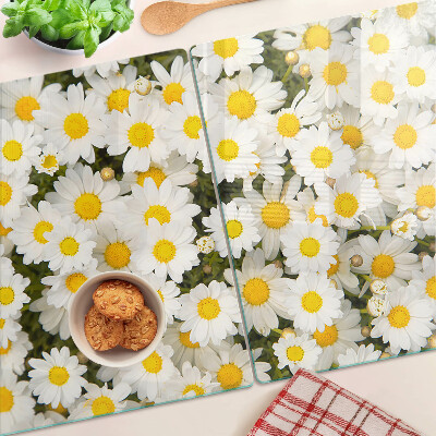 Glass cutting board Daisies on a white background