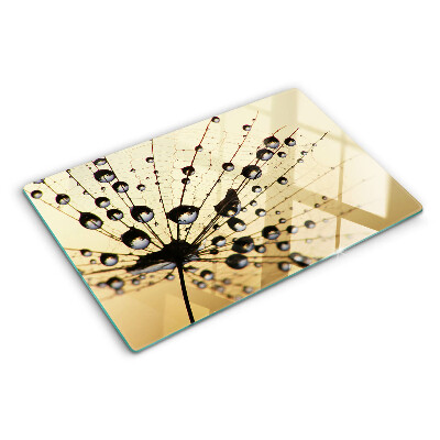 Glass kitchen board Drops of water on a spider's web