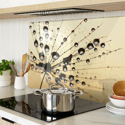Glass kitchen board Drops of water on a spider's web