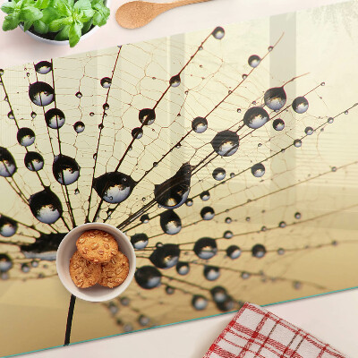 Glass kitchen board Drops of water on a spider's web