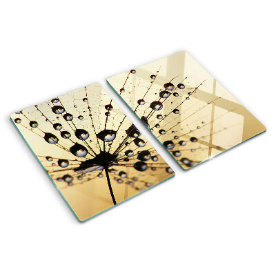 Glass kitchen board Drops of water on a spider's web