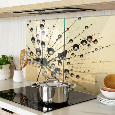 Glass kitchen board Drops of water on a spider's web