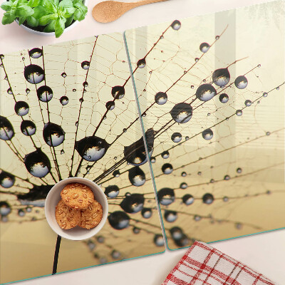 Glass kitchen board Drops of water on a spider's web