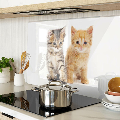 Glass chopping board Cats on a white background