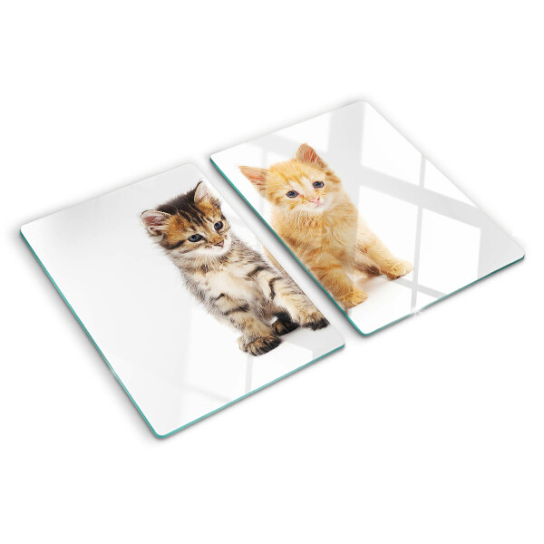Glass chopping board Cats on a white background