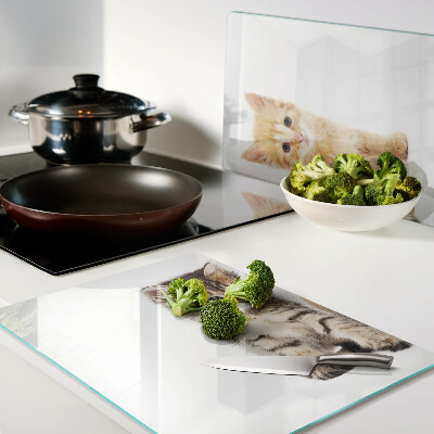 Glass chopping board Cats on a white background