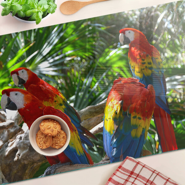 Glass cutting board Parrots in a tropical setting