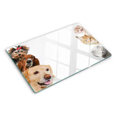 Chopping board glass Dogs and cats in different poses