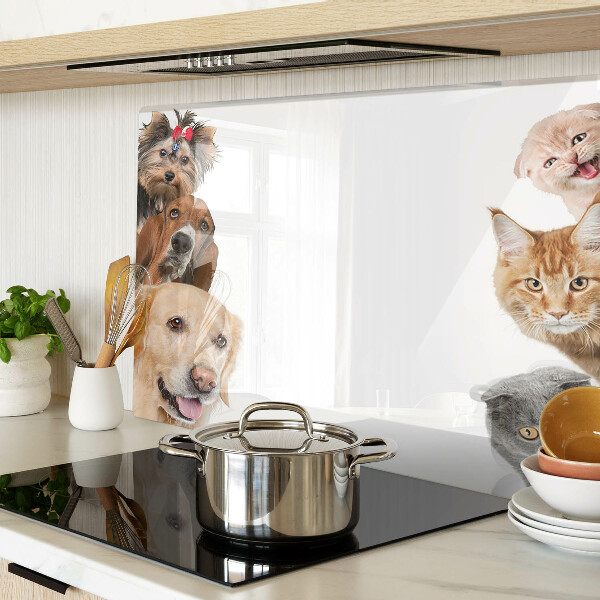 Chopping board glass Dogs and cats in different poses