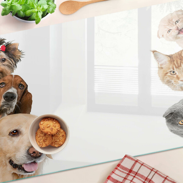 Chopping board glass Dogs and cats in different poses