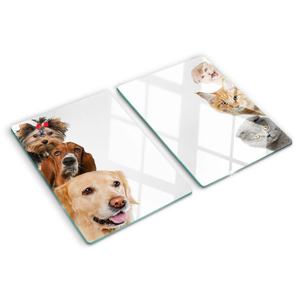 Chopping board glass Dogs and cats in different poses