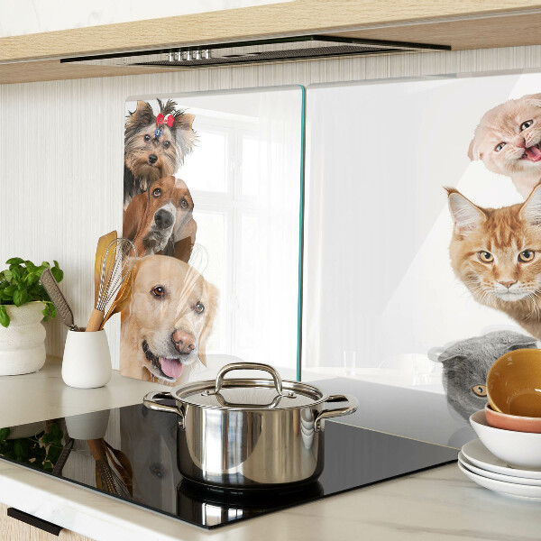 Chopping board glass Dogs and cats in different poses