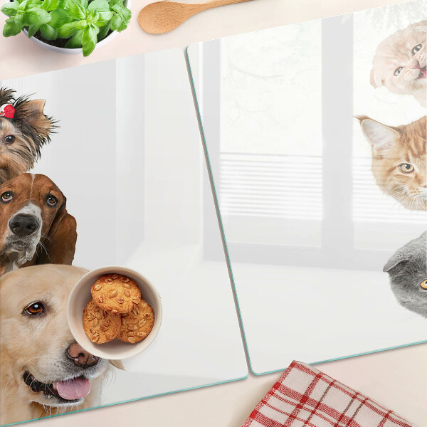 Chopping board glass Dogs and cats in different poses