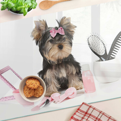 Cutting board Yorkshire Terrier with grooming accessories