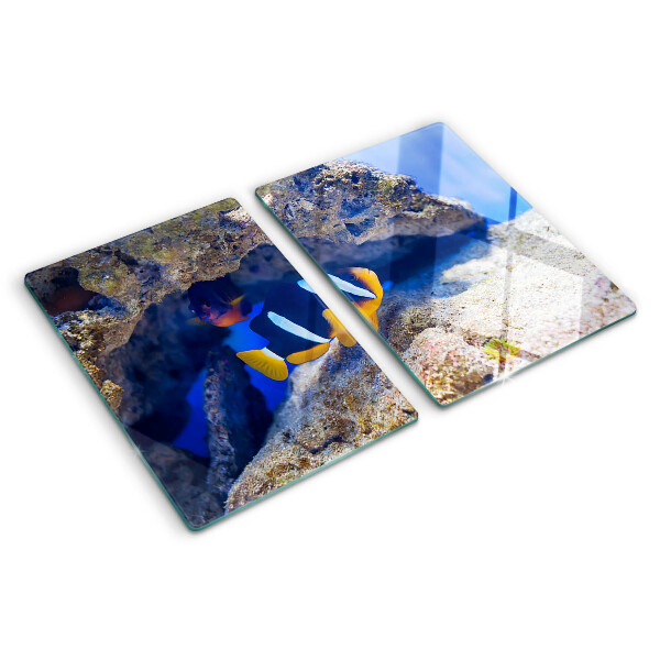 Glass cutting board Fish in a coral reef