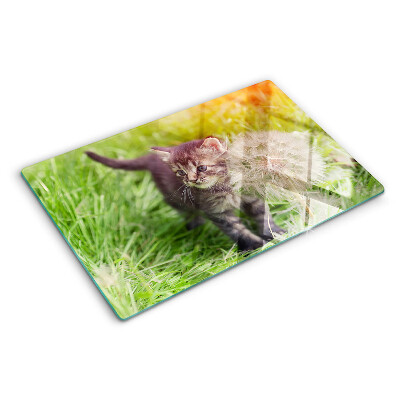 Chopping board glass Cat on the grass