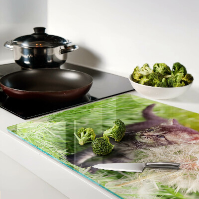 Chopping board glass Cat on the grass
