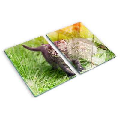 Chopping board glass Cat on the grass