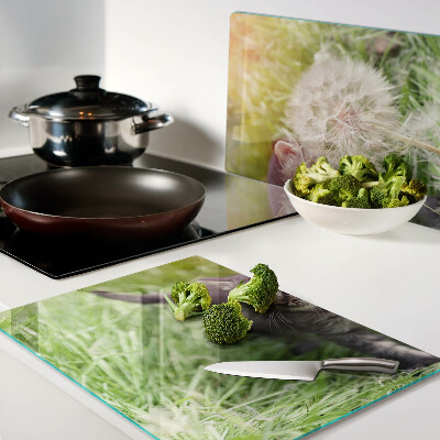 Chopping board glass Cat on the grass