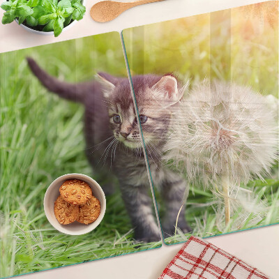 Chopping board glass Cat on the grass