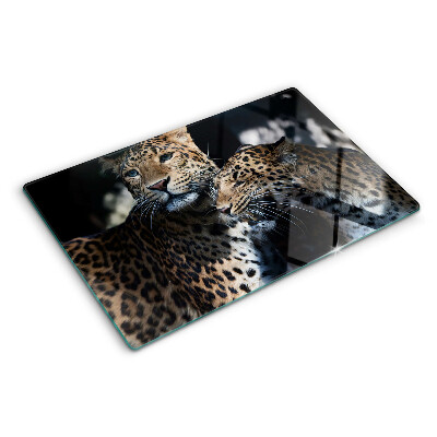 Glass chopping board Cheetahs on a dark background