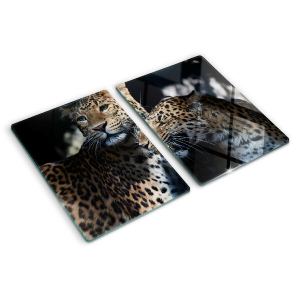 Glass chopping board Cheetahs on a dark background