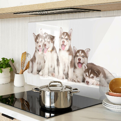 Glass cutting board Husky puppies