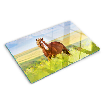 Glass kitchen board A horse in the meadow