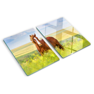 Glass kitchen board A horse in the meadow