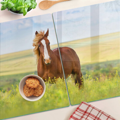Glass kitchen board A horse in the meadow
