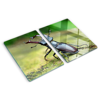 Chopping board Stag beetle on a green background