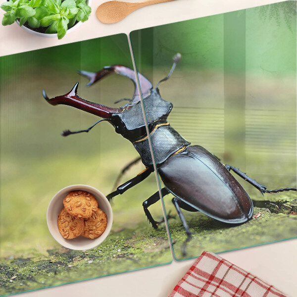 Chopping board Stag beetle on a green background