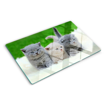 Glass cutting board Kittens on a green background