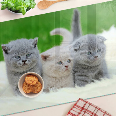 Glass cutting board Kittens on a green background