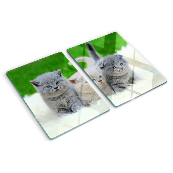 Glass cutting board Kittens on a green background