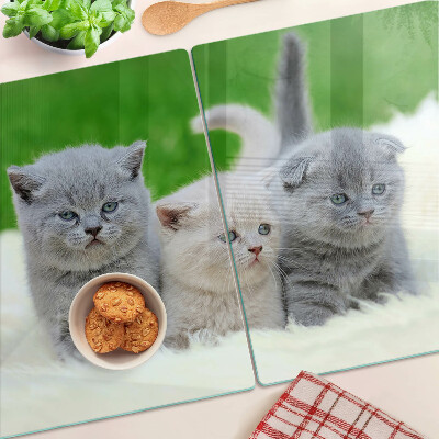 Glass cutting board Kittens on a green background