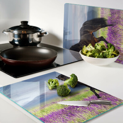 Glass kitchen board A horse against a background of purple flowers
