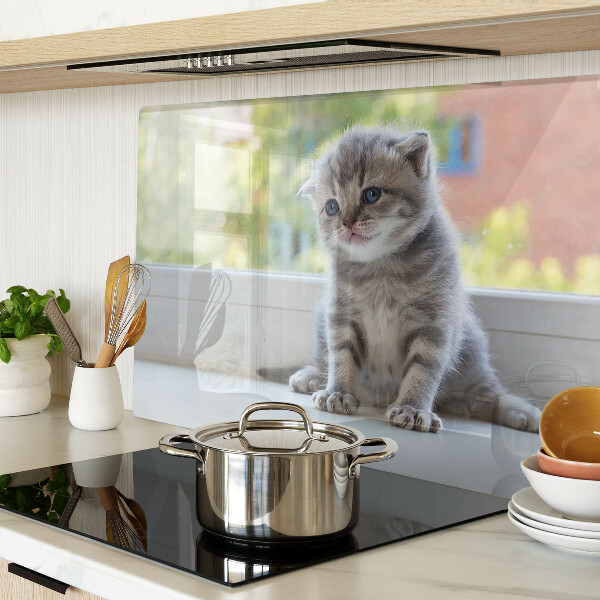 Glass chopping board A kitten on the windowsill